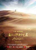 修真之巅副本攻略：挑战BOSS的最佳策略